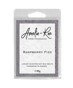 raspberry fizz wax melt pack