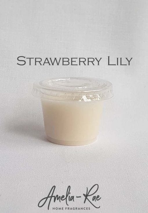 Strawberry Lily Sample Pot