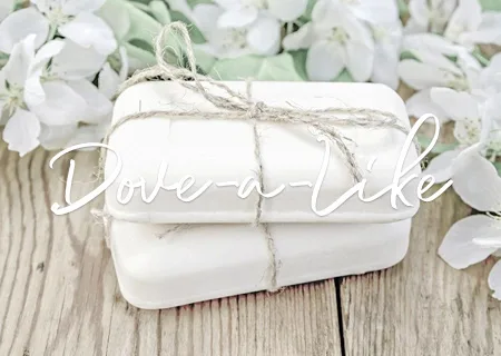 dove a like amelia rae home fragrances