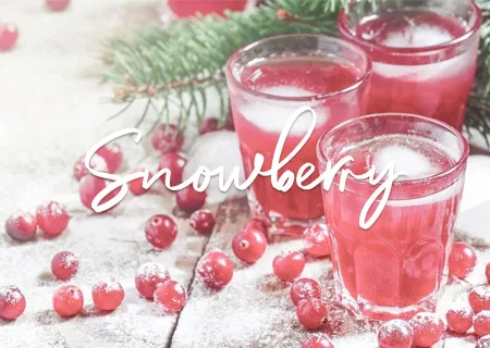 snowberry amelia rae home fragrances