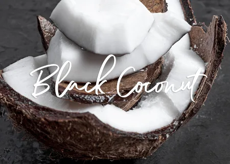 black coconut amelia-rae