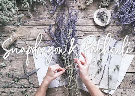 snapdragon patchouli amelia-rae