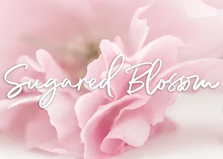 sugared blossom amelia-rae