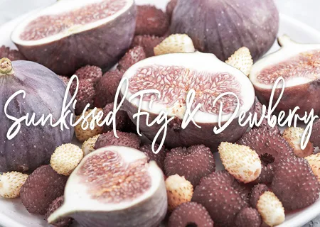 sunkissed fig and dewberry fragrance
